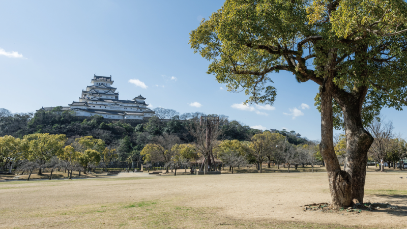 姫路市　ワンステージ姫路八代本町　SHOWA GROUP（ショウワグループ）（株）　昭和住宅　シロトピア記念公園