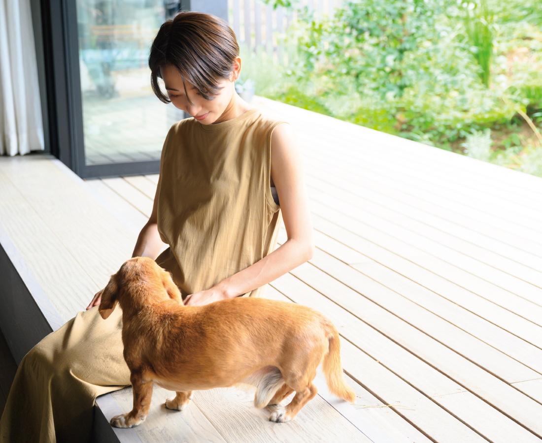 愛犬と暮らすイメージ