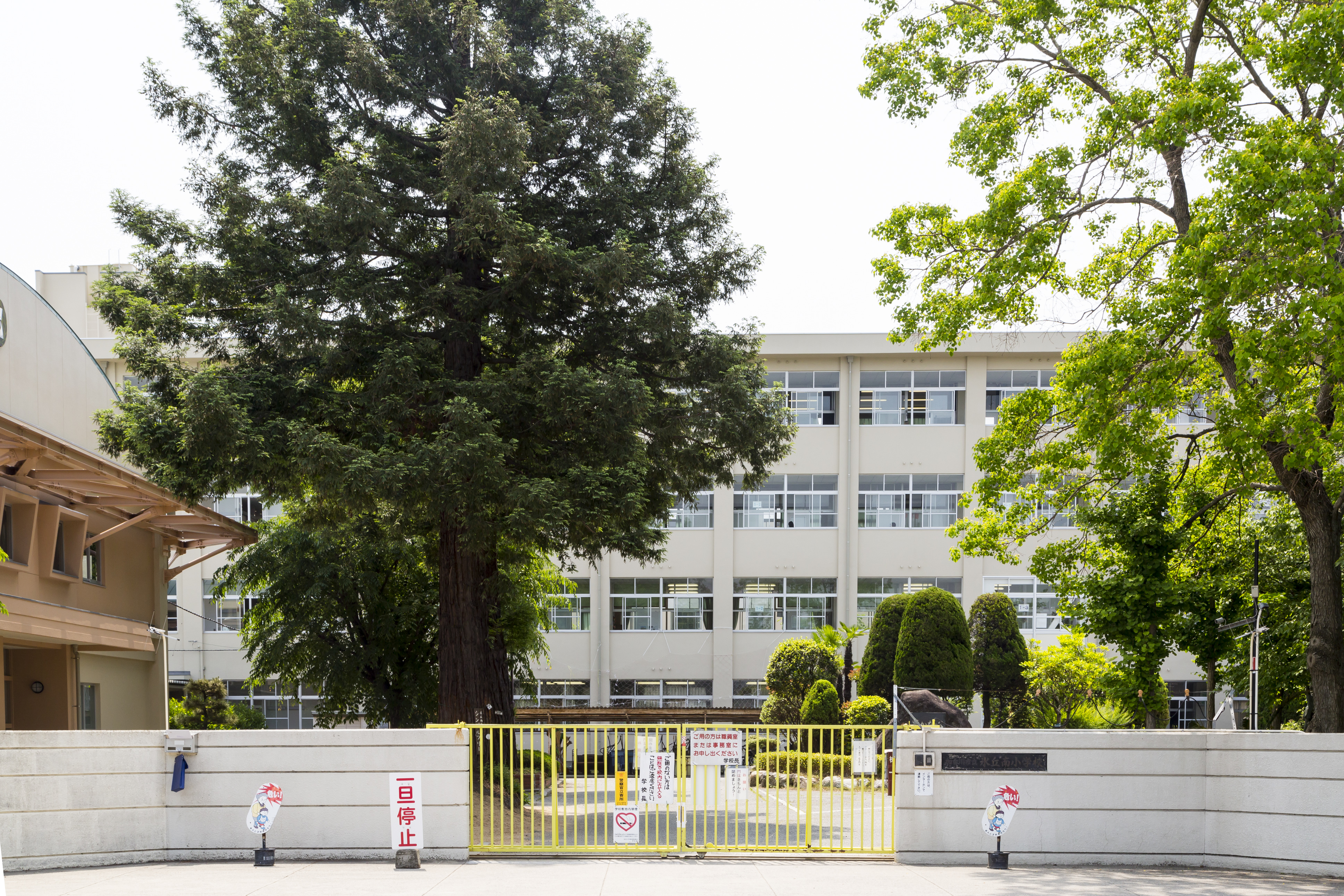 氷丘南小学校
