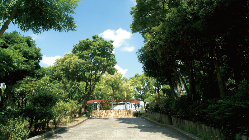 加古川市　ストークガーデン加古川本町Ⅲ　昭和住宅　金剛寺浦公園