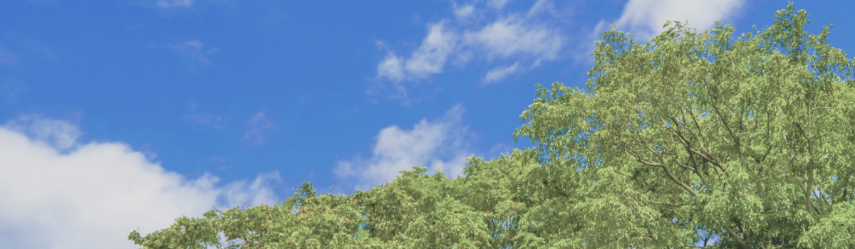 加古川市　ストークガーデン加古川本町Ⅲ　昭和住宅　周辺環境・ロケーションのメイン