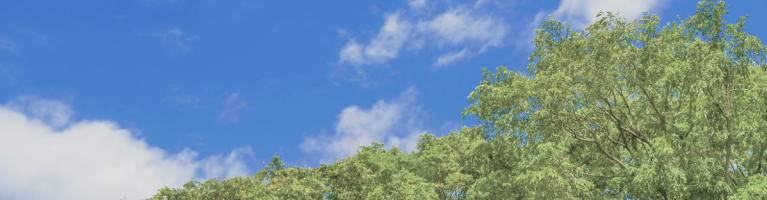 加古川市　ストークガーデン加古川本町Ⅲ　昭和住宅　周辺環境・ロケーションのメイン