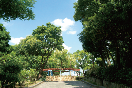 金剛寺浦公園