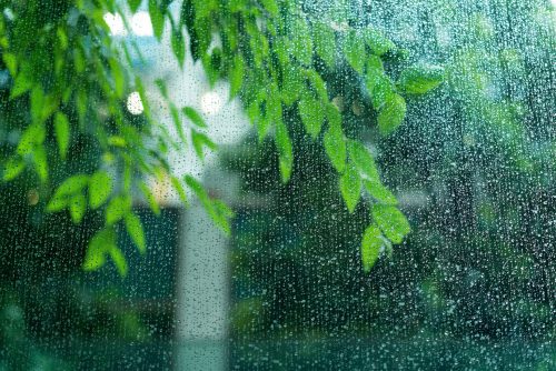 雨・水滴