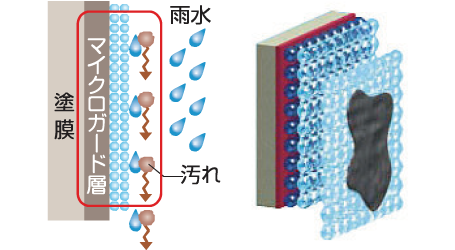 SUGOIE Fuge 汚れを落とす