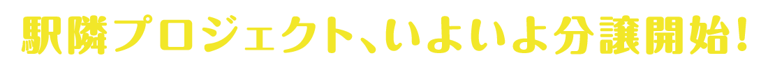 分譲開始