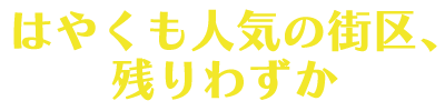 分譲開始