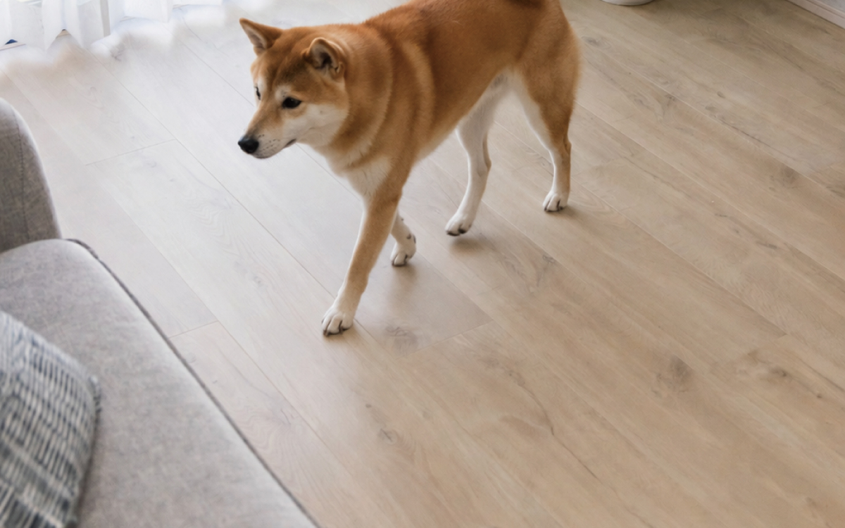 傷に強いフローリング