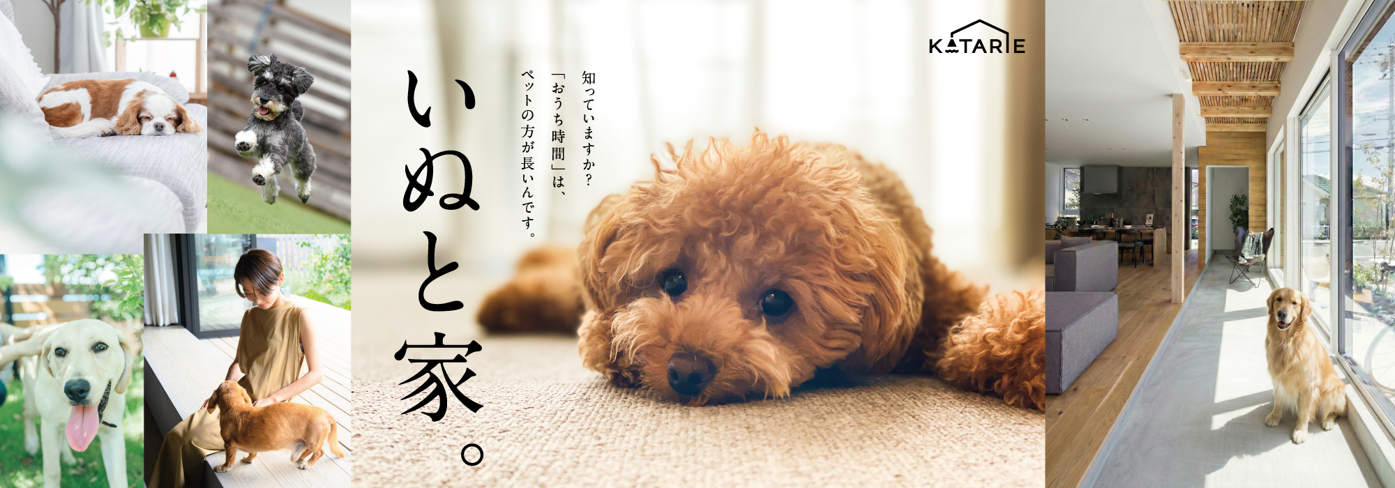 KATARIE-カタリエ-展示場　神戸新聞ハウジングセンター加古川会場　ペットファーストの家づくり相談会　メインビジュアル
