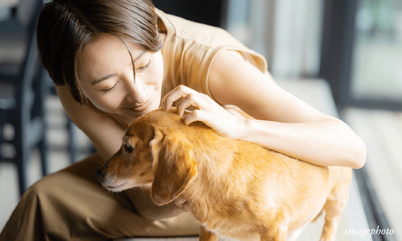 JR「東加古川」駅徒歩3分 リベール東加古川駅前通り ディンクス　夫婦　二人暮らし 資産性ある立地