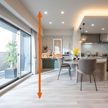 ゆとりの天井高約2.5m