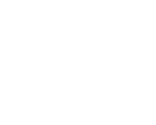 眞井貴士の一言